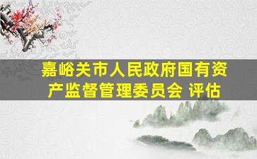 嘉峪关市人民政府国有资产监督管理委员会 评估